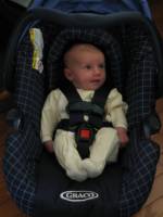 web-2 Car seat.