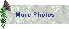 More Photos