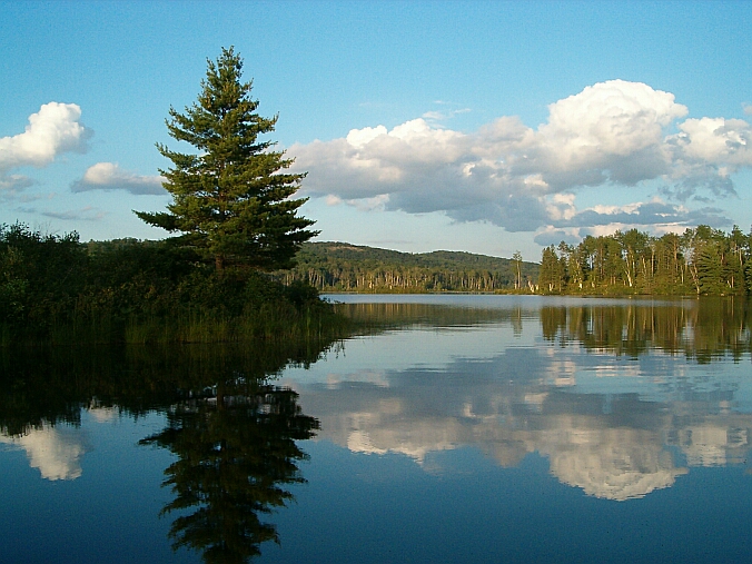 "Bark Lake"