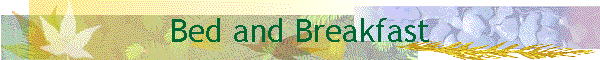 Bed and Breakfast