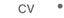 CURRICULUM VITAE
